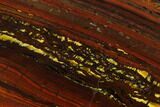 Polished Tiger Iron Stromatolite - Billion Years #129300-1
